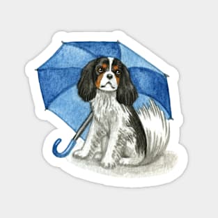 Cavalier King Charles Spaniel - Tri-colour Blue Umbrella Sticker